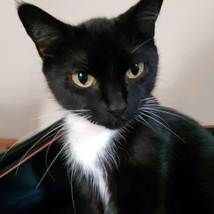 Meet your Posher, Ruth